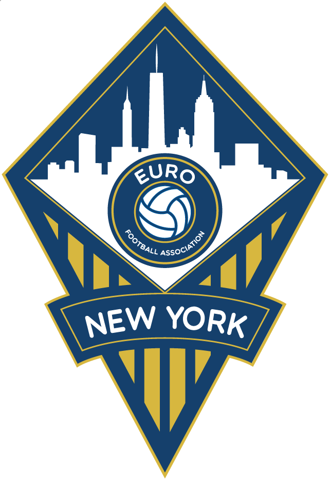 FA Euro New York 2012-Pres Primary Logo t shirt iron on transfers